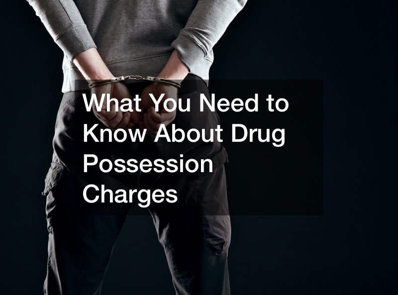 What You Need To Know About Drug Possession Charges 